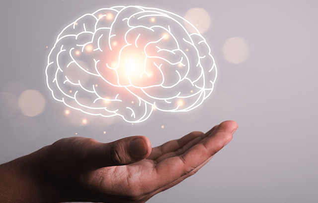 想像している画像